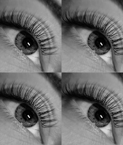 Skropstas un uzacis, Rīga