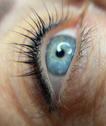 Skropstas un uzacis, Rīga