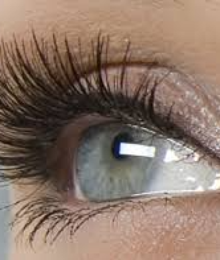 Skropstas un uzacis, Rīga