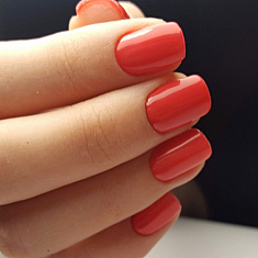 Маникюр, Rīga