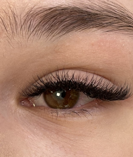 Skropstas un uzacis, Rīga