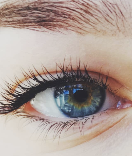 Skropstas un uzacis, Rīga