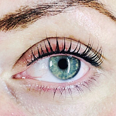 Lashes & brows, Rīga