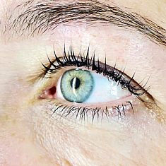 Lashes & brows, Rīga