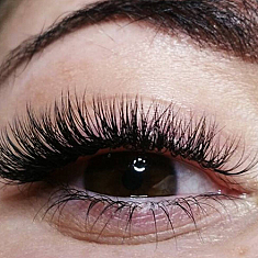 Skropstas un uzacis, Dobele