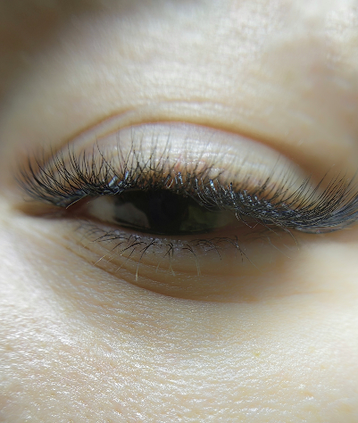 Skropstas un uzacis, Rīga