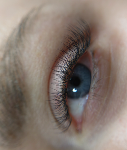 Skropstas un uzacis, Rīga