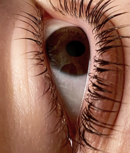 Skropstas un uzacis, Rīga