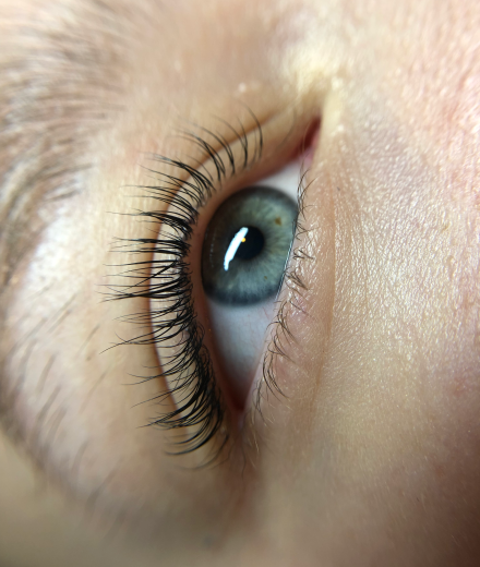 Skropstas un uzacis, Rīga