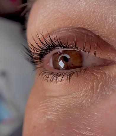 Skropstas un uzacis, Rīga