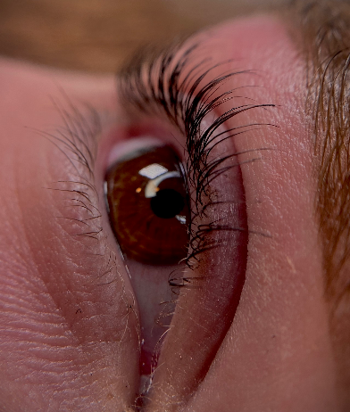 Skropstas un uzacis, Rīga