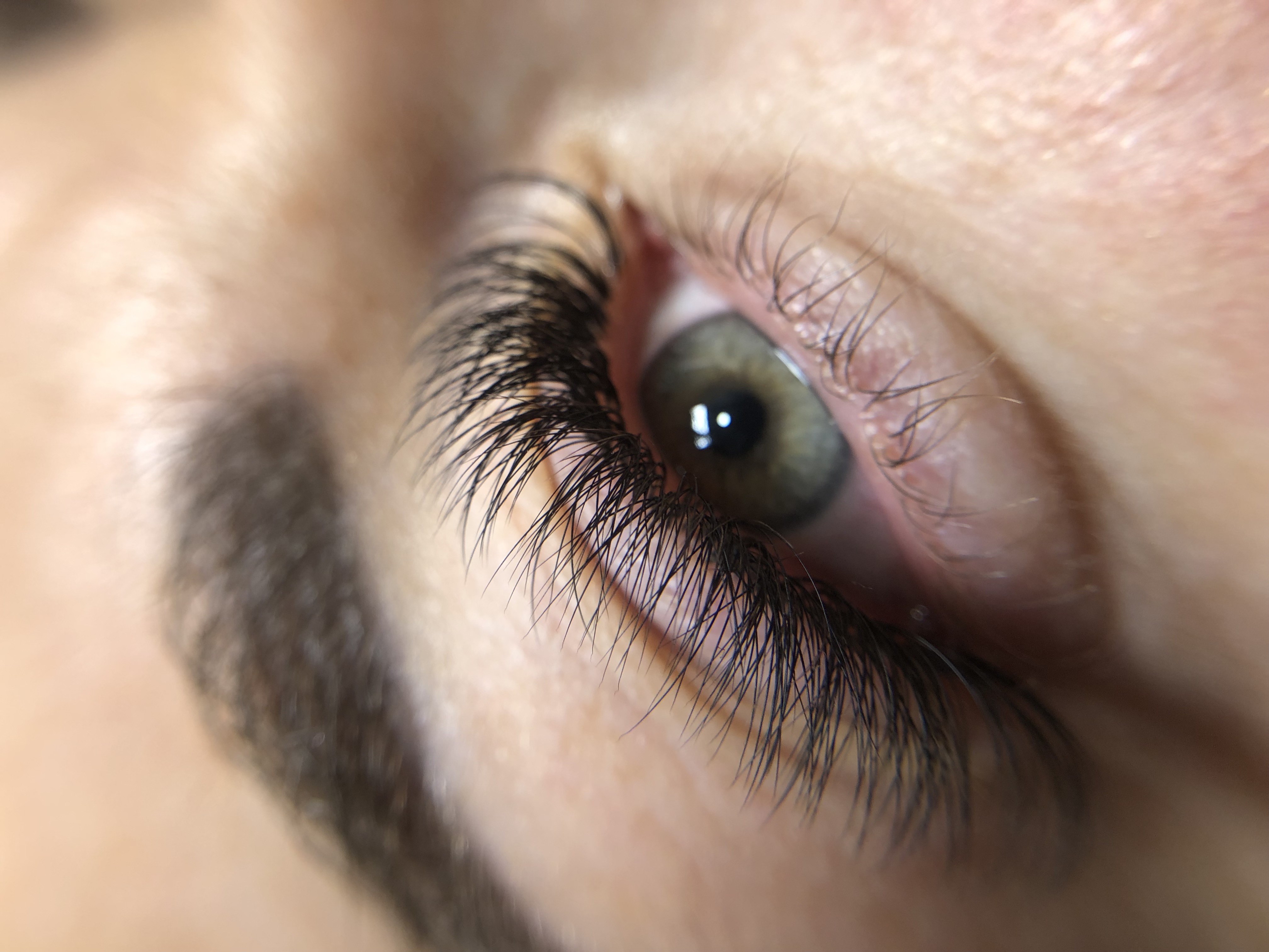 Skropstas un uzacis, Madona