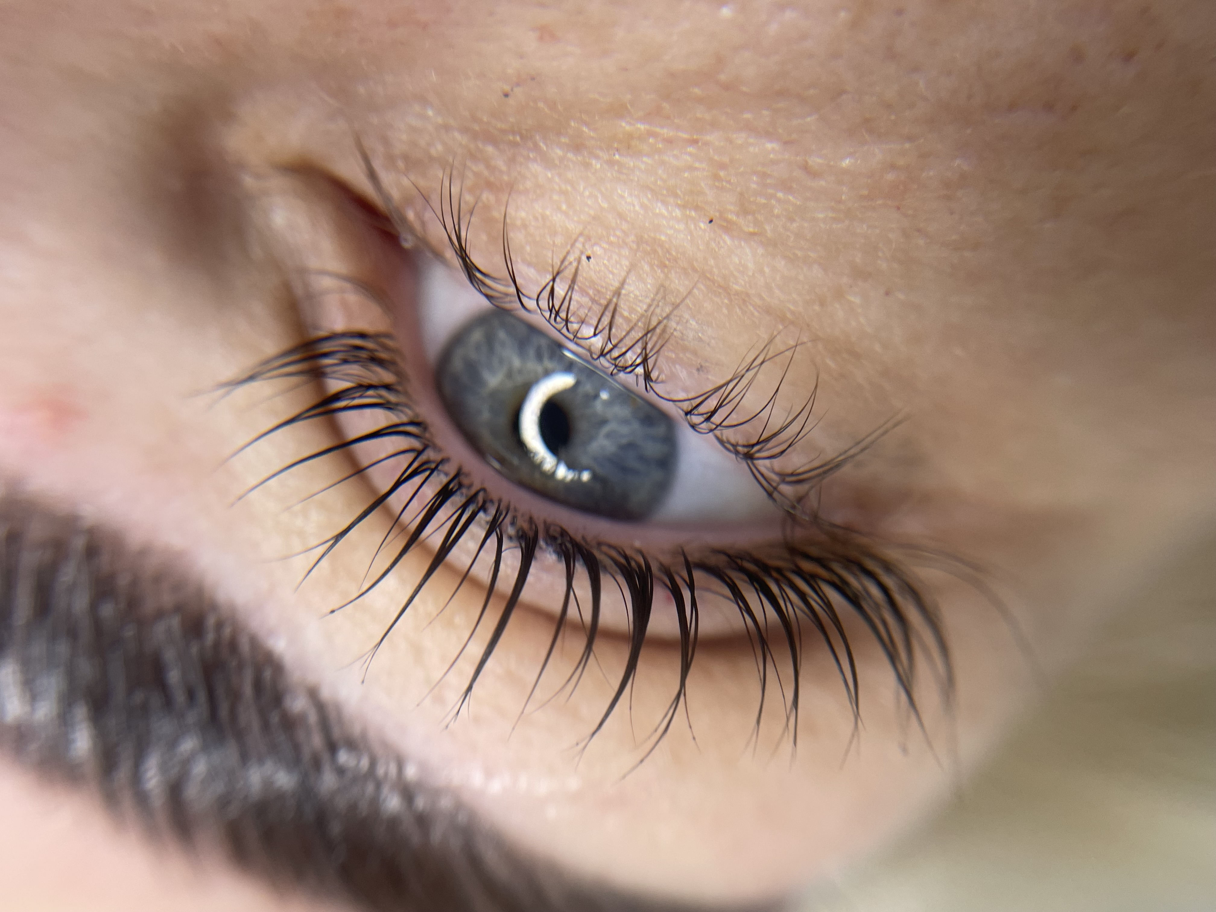 Skropstas un uzacis, Rīga