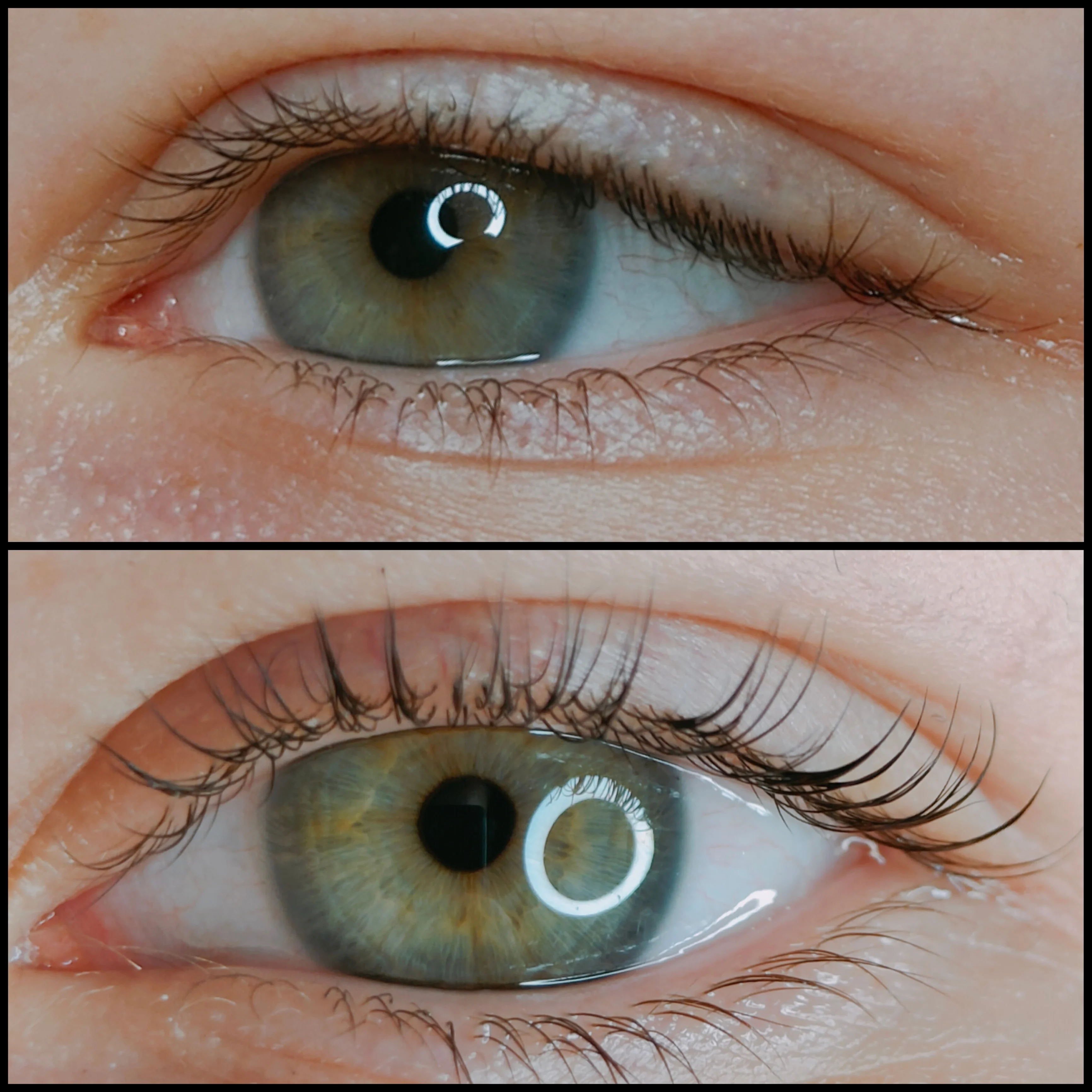 Skropstas un uzacis, Rīga