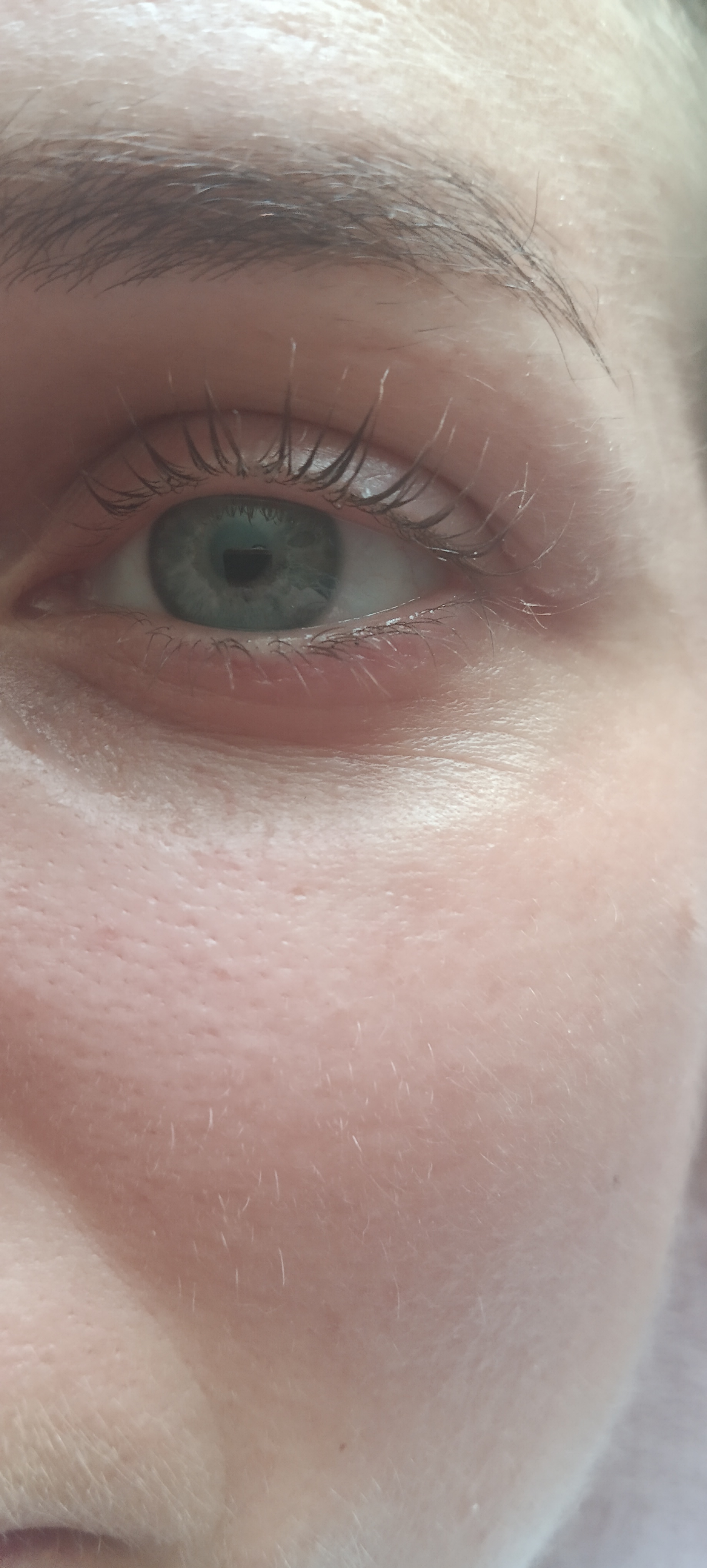 Skropstas un uzacis, Rīga