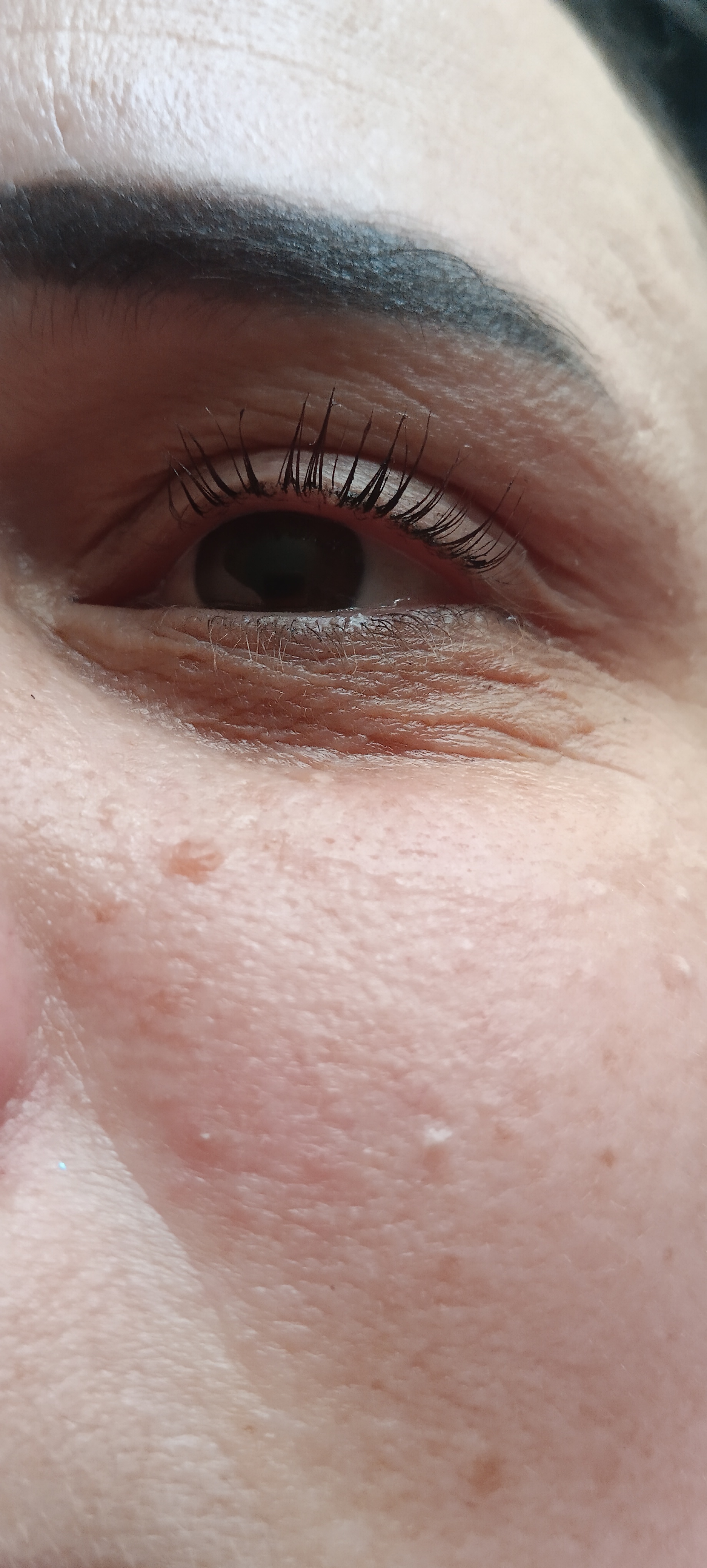 Skropstas un uzacis, Rīga