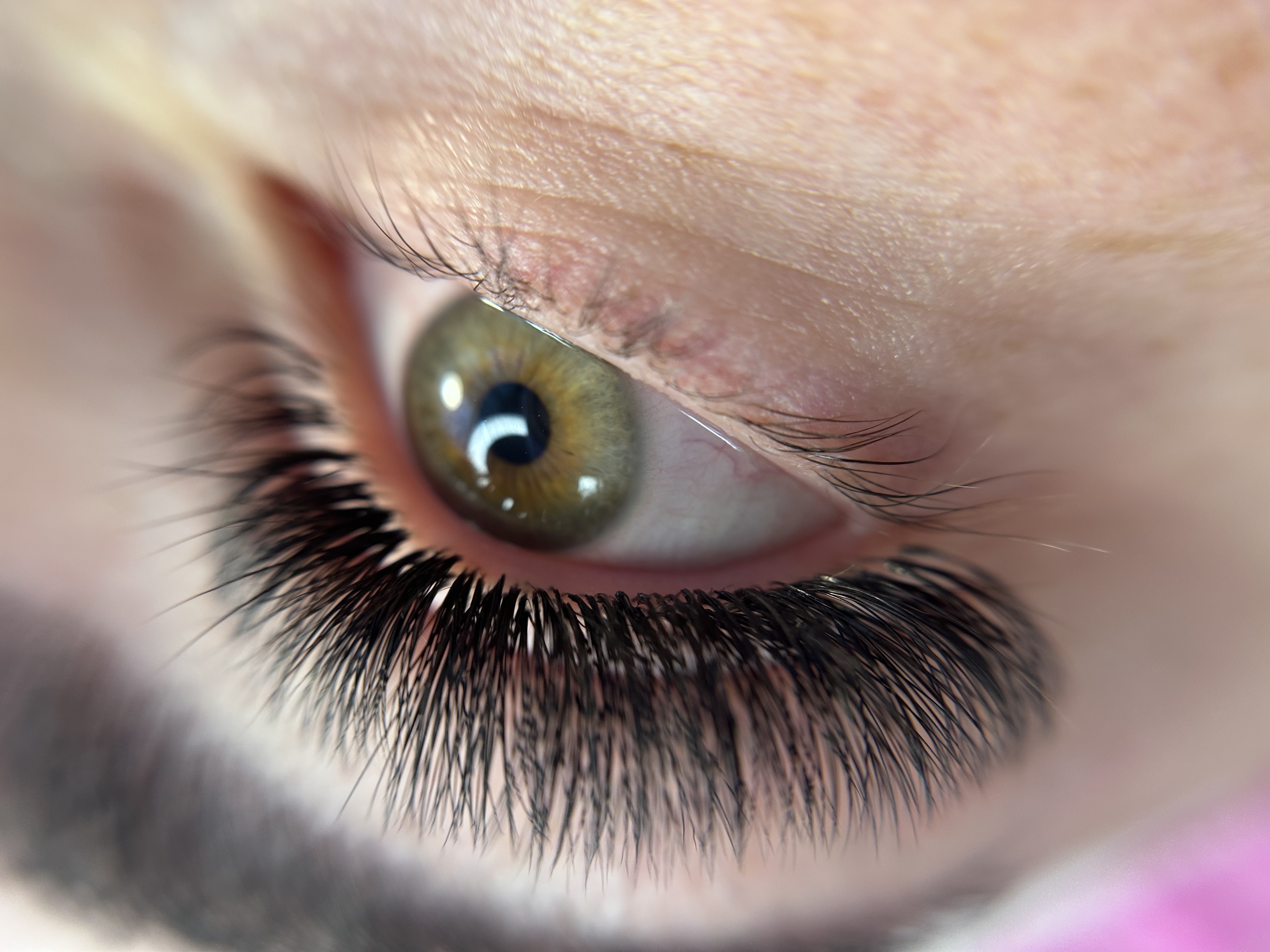 Skropstas un uzacis, Rīga