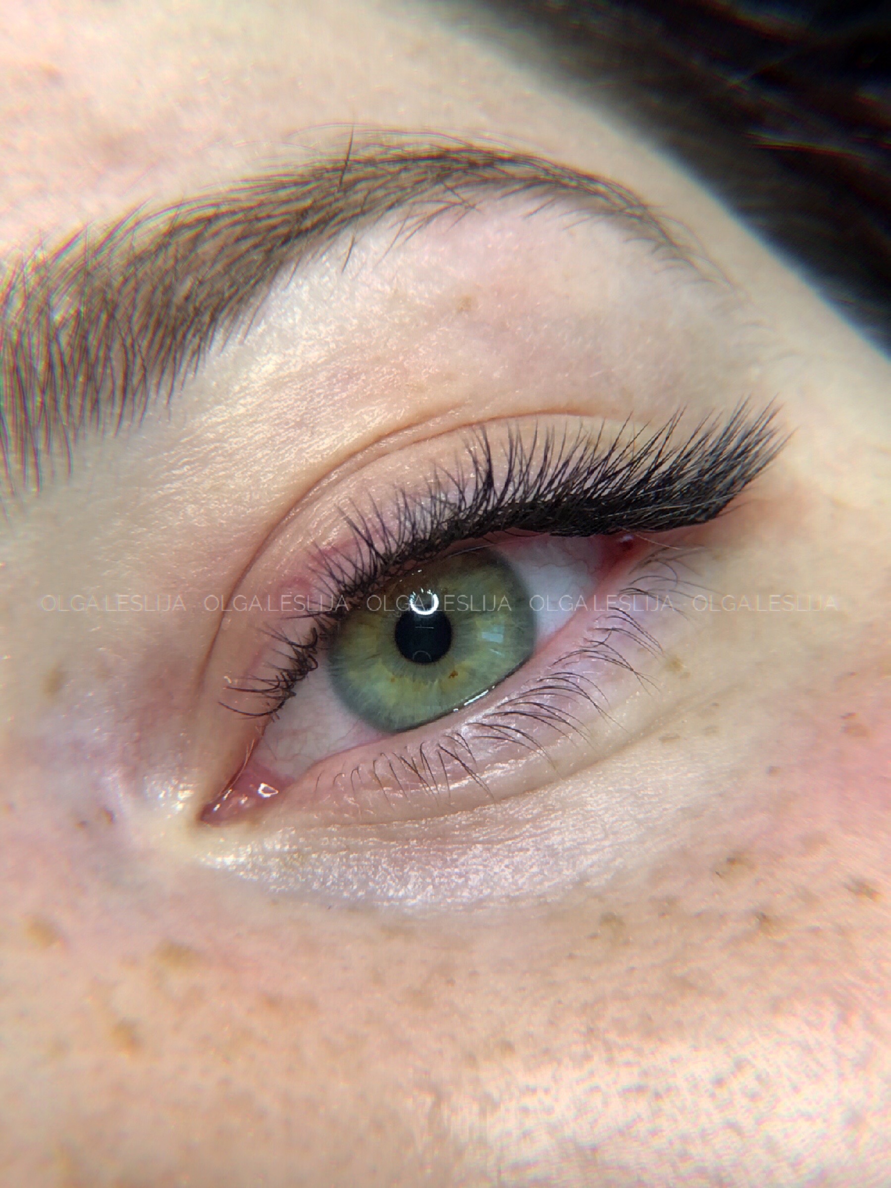 Skropstas un uzacis, Rīga