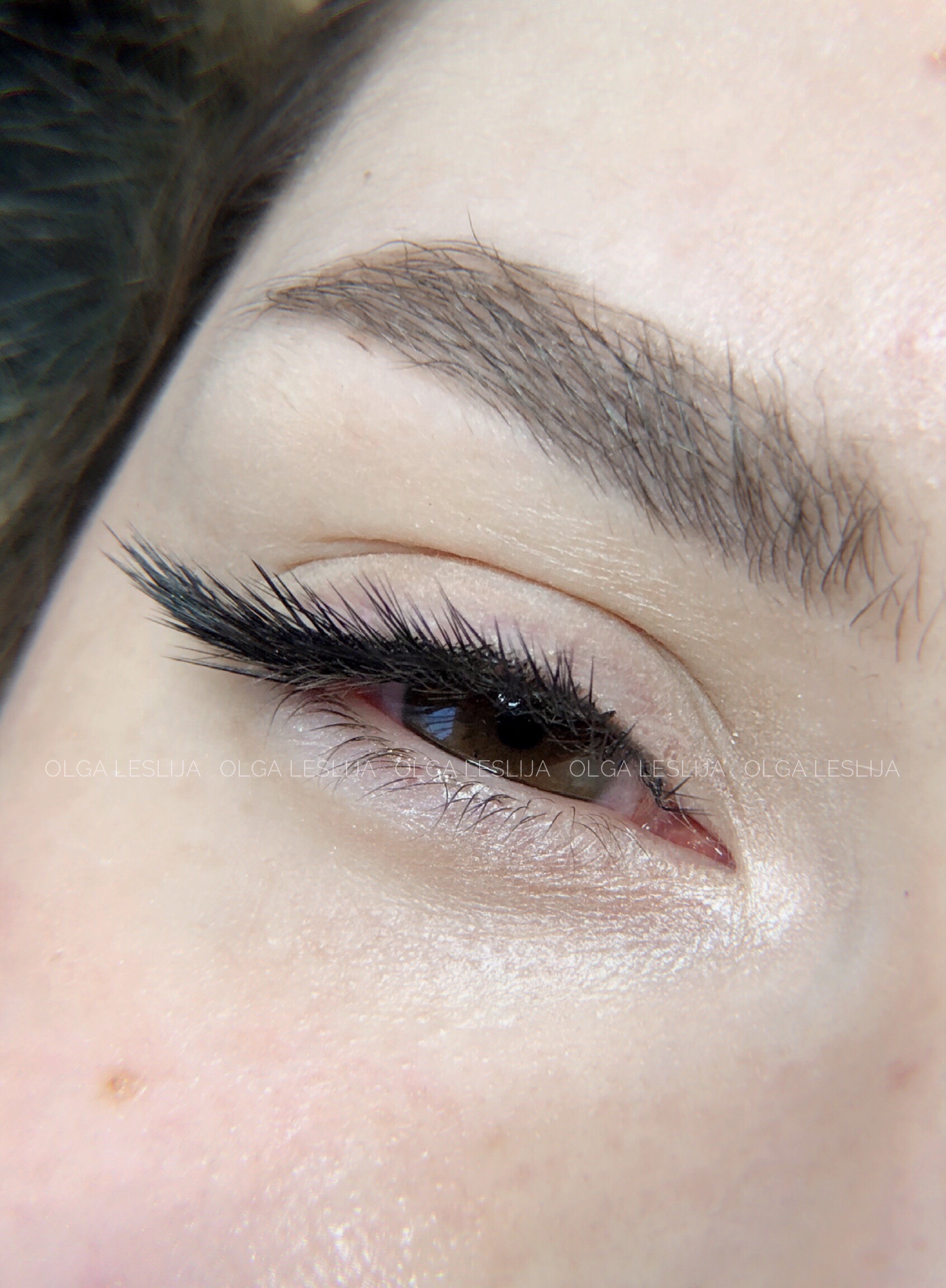 Skropstas un uzacis, Rīga