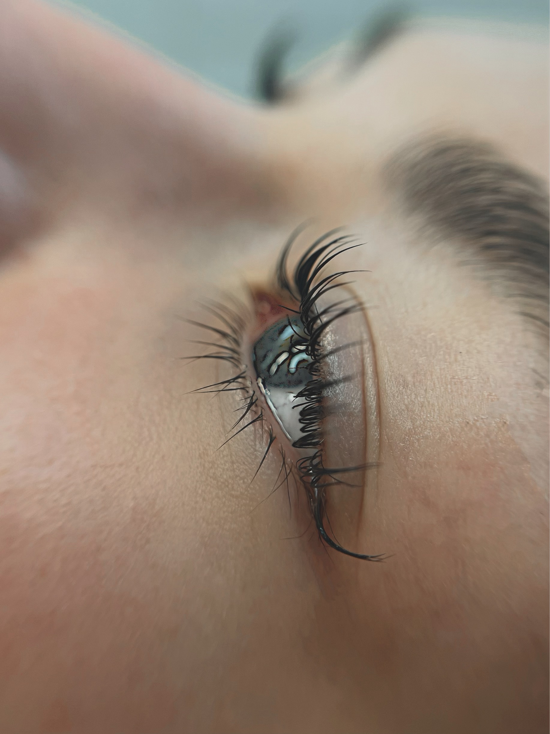 Skropstas un uzacis, Jelgava