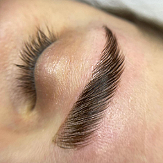 Брови и ресницы, 