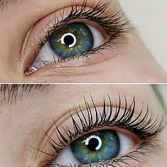 Брови и ресницы, 