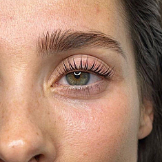 Брови и ресницы, 