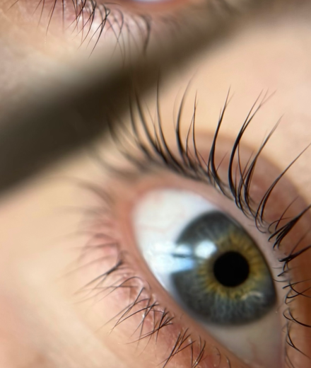 Skropstas un uzacis, Rīga