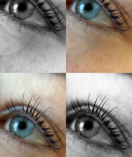 Skropstas un uzacis, Rīga