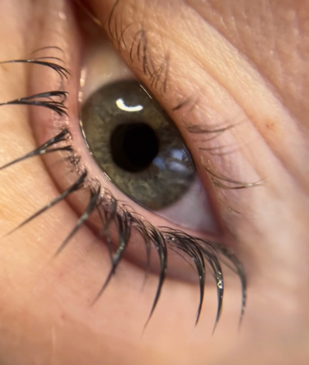 Skropstas un uzacis, Rīga