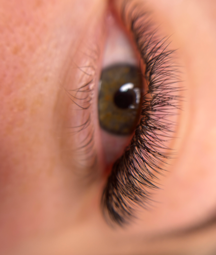 Skropstas un uzacis, Rīga