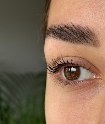 Skropstas un uzacis, Rīga