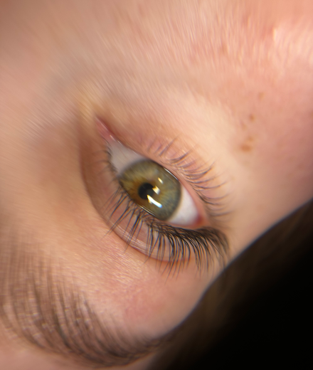 Skropstas un uzacis, Jelgava