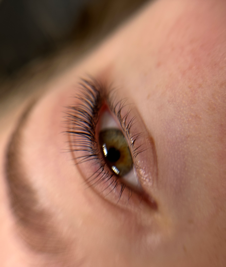 Skropstas un uzacis, Jelgava