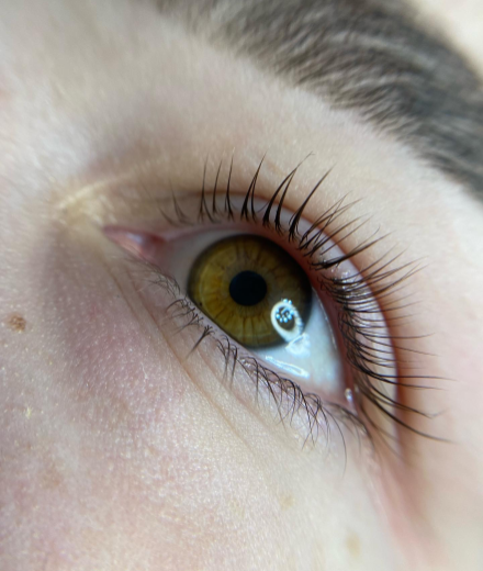 Skropstas un uzacis, Rīga