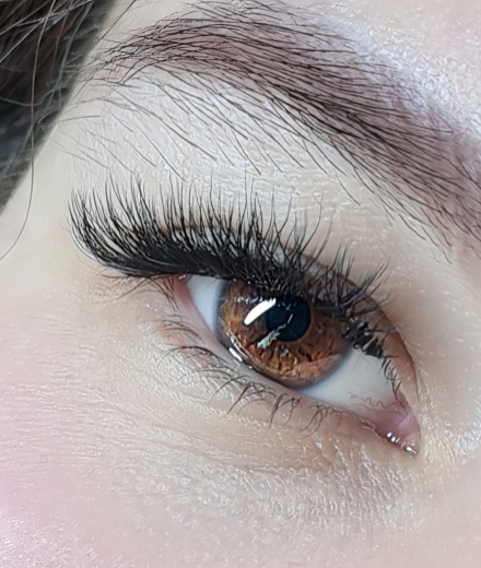 Skropstas un uzacis, Rīga