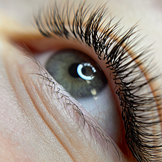 Брови и ресницы, Rīga