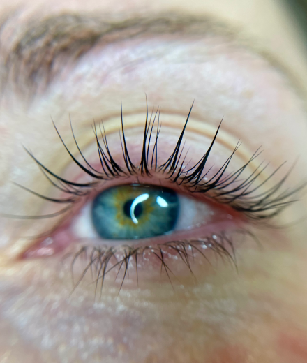 Skropstas un uzacis, Rīga