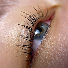 Брови и ресницы, Rīga