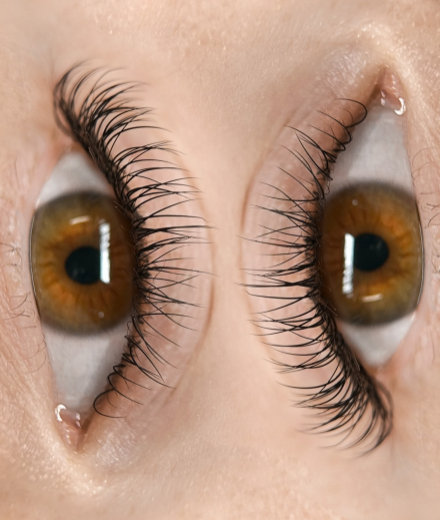 Брови и ресницы, Rīga