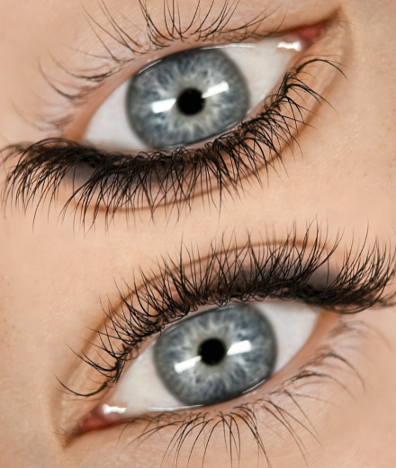 Брови и ресницы, Rīga