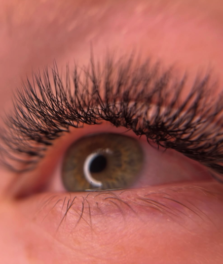 Skropstas un uzacis, Rīga