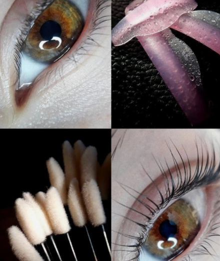 Skropstas un uzacis, Bauska