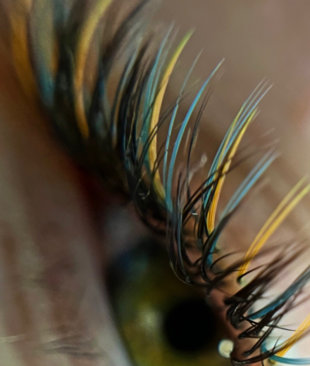 Skropstas un uzacis, Rīga