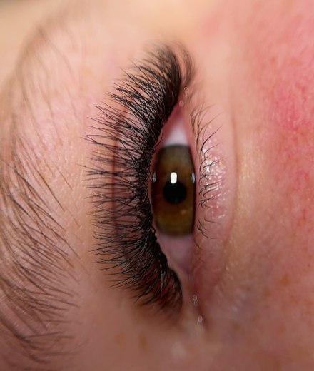 Skropstas un uzacis, Rīga