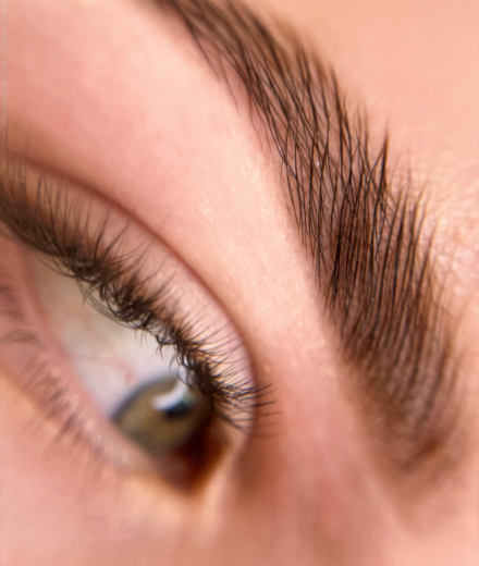 Skropstas un uzacis, Jelgava