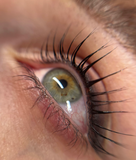 Skropstas un uzacis, Jelgava