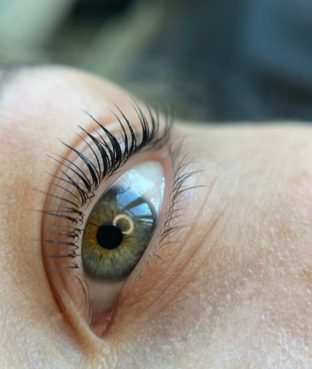 Skropstas un uzacis, Jelgava