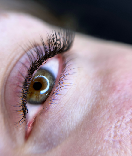 Skropstas un uzacis, Jelgava