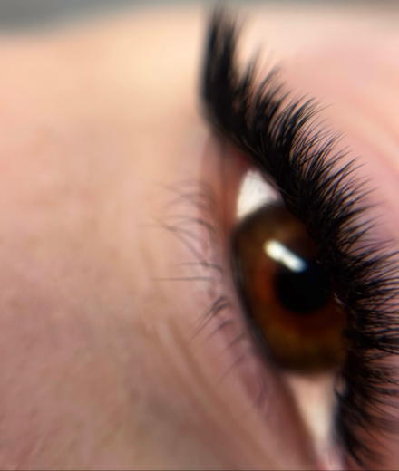 Skropstas un uzacis, Jelgava